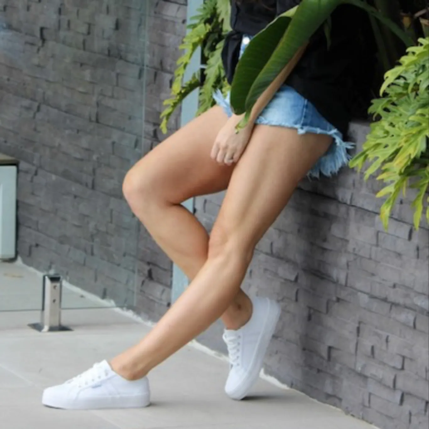 cass runners | white