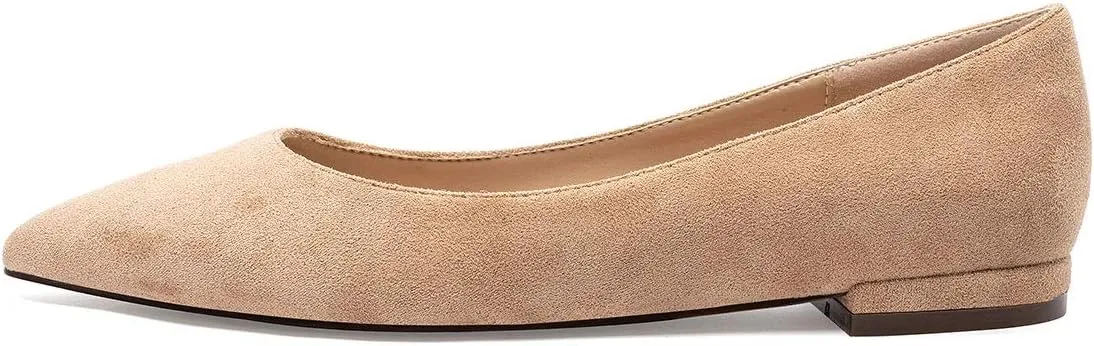 Castamere Women's Comfortable Ballet Slip-on Flats Pointed Toe Elegant Pumps with Low Heels
