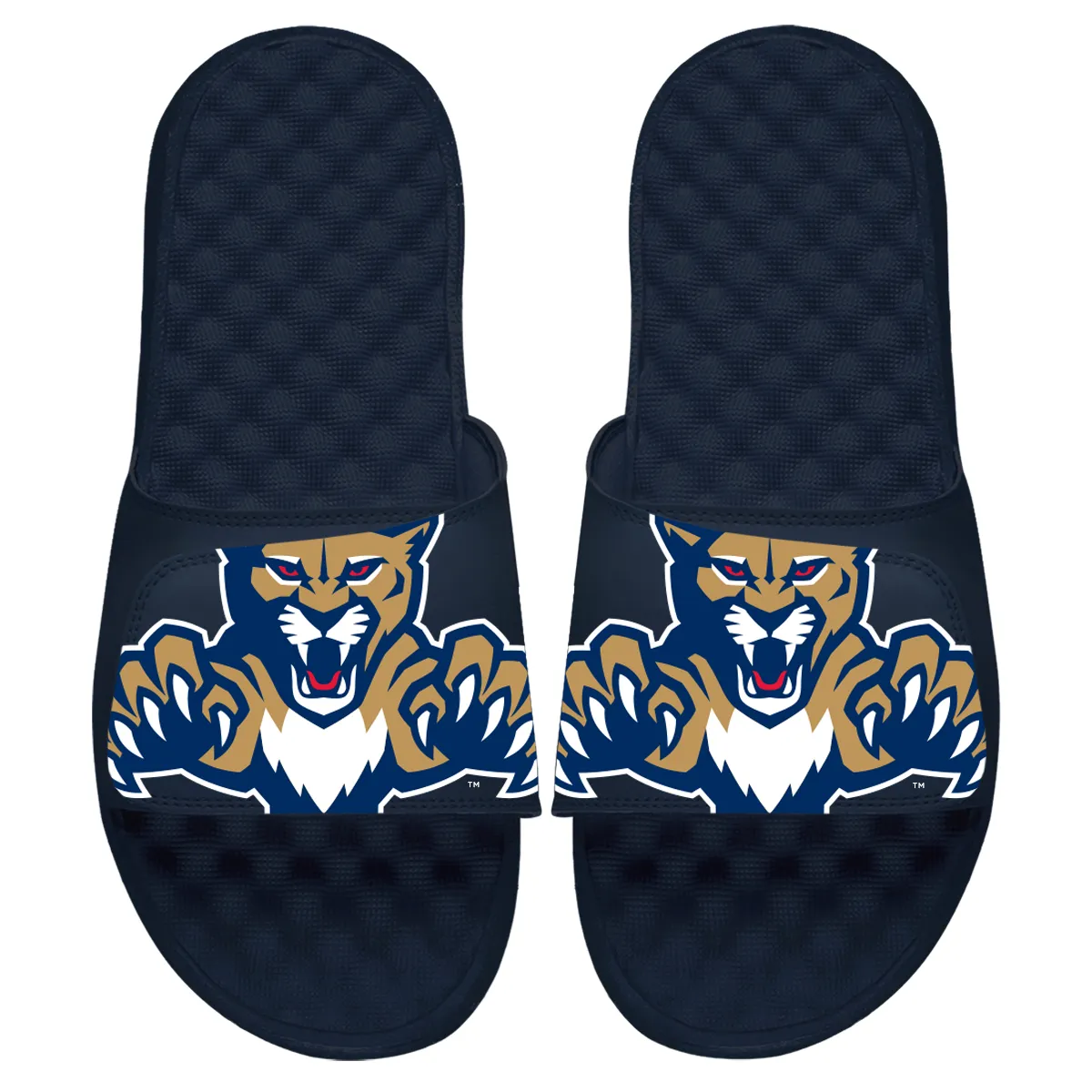 Florida Panthers Blown Up