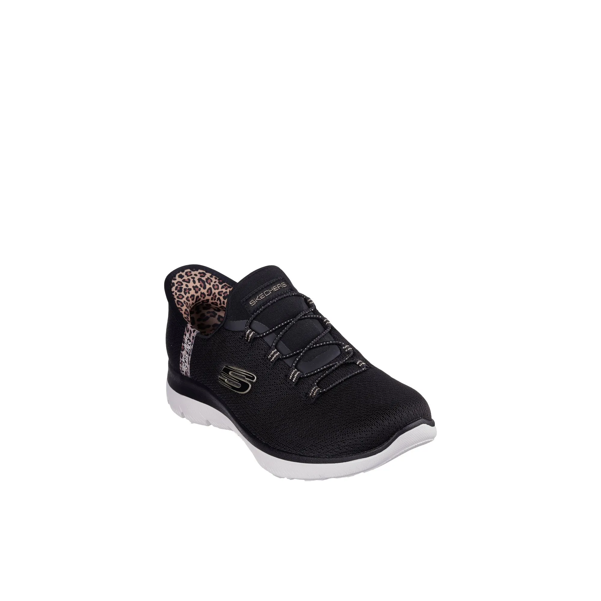 Summit_leopard