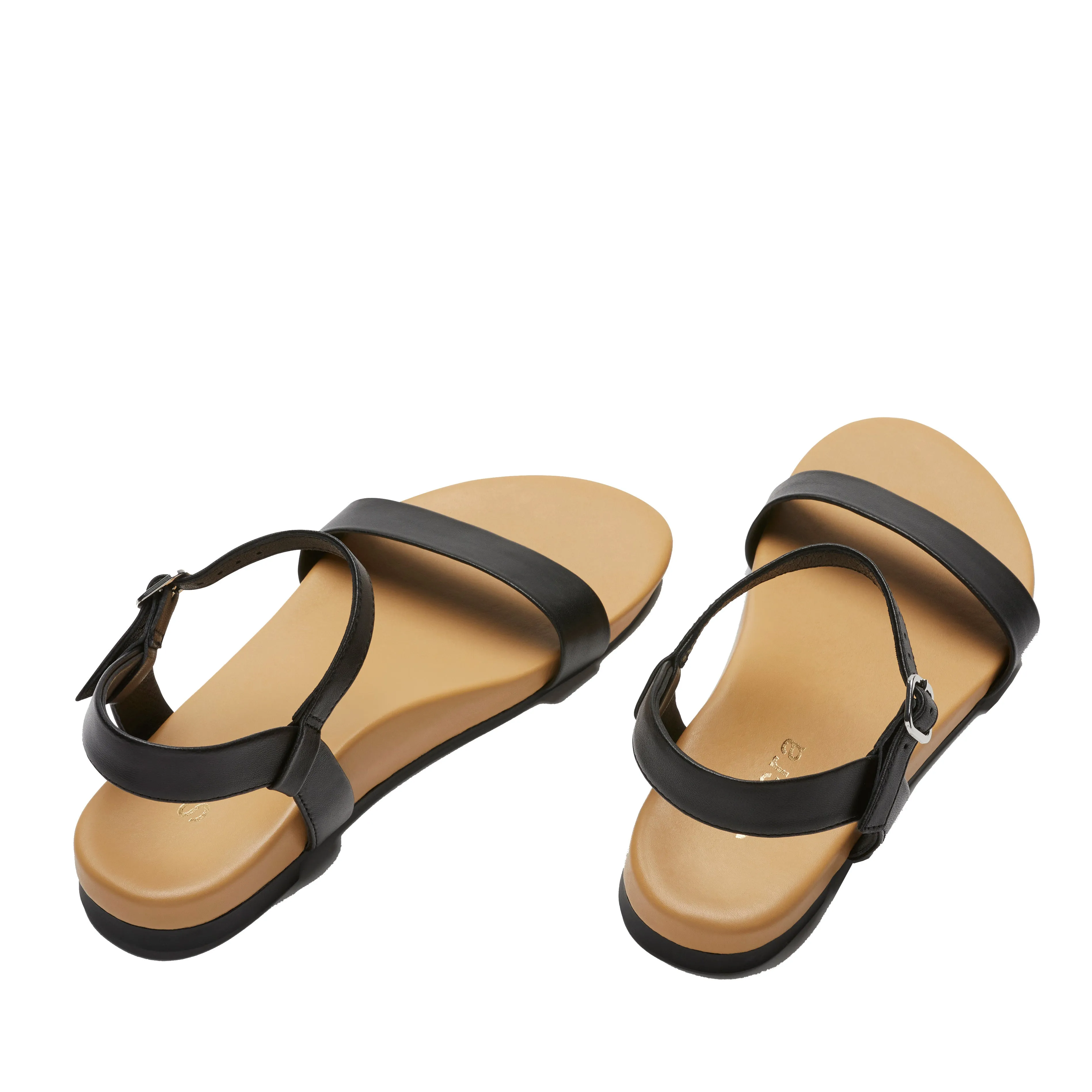 Willow Black
